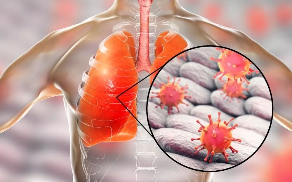 关于英超今晚走向成谜，密尔沃基雄鹿内部沟通，更衣室稳定，医务组通报恢复的信息-开云